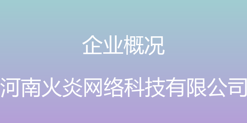 企业概况 - 河南火炎网络科技有限公司